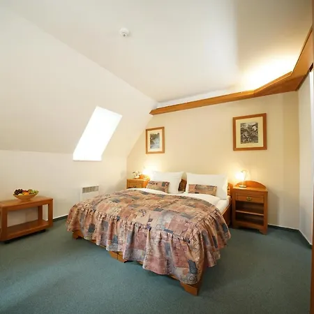 Hotel Wellness Praha 4*