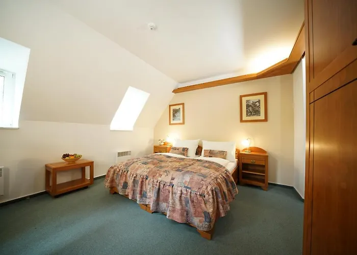 ホテル Praha 4*